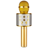 Уцінка Караоке Мікрофон-колонка WS858