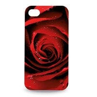 Чохол для iPhone «Rose» 4 G