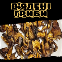 В'ялені гриби