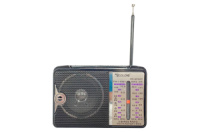 Радиоприемник Golon RX-606AC (173-RX606-40pcn)