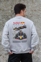 Утеплений оверсайз світшот на флісі з принтом Without Redbull Gray