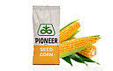 Семена кукурузы Pioneer П9241 (P9241)
