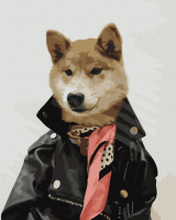 Картина за номерами «Стильний собака @rocky.and.rudy» 40х50см