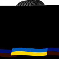 19/45 R17 Starmaxx IMP-80 141A8 Сельхоз шина