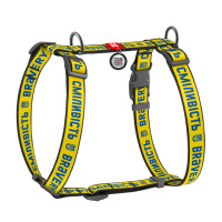 Шлея для собак анатомічна H-подібна WAUDOG Nylon з QR-паспортом, малюнок «Сміливість», пластиковий фастекс, L, Ш 25 мм, А 50-90, В 60-100
