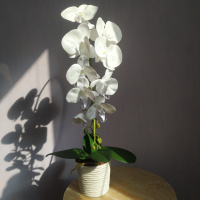 Штучна латексна орхідея VIP у пластиковому кашпо на одну гілку біла
