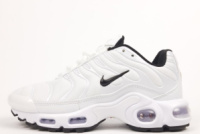 Жіночі кросівки Nike Air Max TN Plus (37-41)