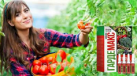Биоудобрение для высокой урожайности ГардеМакс - Gardemax Ампулы, гардемакс удобрение в украине