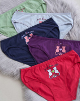 Труси сліпи жіночі Nicoletta Туреччина батал  4XL     5 шт.