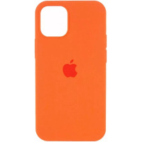 DM Чохол Silicone Case для iPhone 16 Pro Hermes Orange