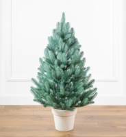 Лапландська блакитна 90 см маленька ялинка лита в горщику Сіга Груп