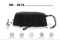 Портативна колонка NR-4019