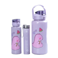 Набор многоразовых бутылок 3 в 1 Дракоша 0.3л 0.7л 2л Фиолетовый HPZSB120013V