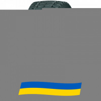 385/65 R22.5 Compasal CPT65 160L Карьерная шина