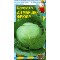 Капуста