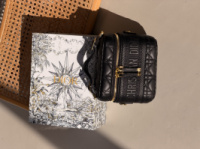 Сумка Christian Dior Small Dior Travel Vanity Case чорний