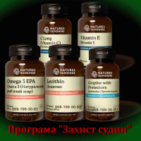 Програма Захист судин. Оздоровительная программа Защита сосудов. Доставка по Украине