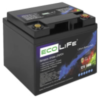 Акумуляторна батарея EcoLiFe LF12-50 LiFePO4