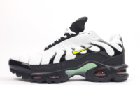 Чоловічі кросівки Nike Air Max TN Plus (41-46)