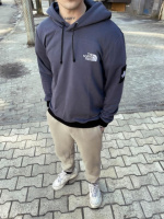 Стильний сірий осінній чоловічий худі The North Face