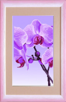 СБ-296 Орхидея 1 17Х30