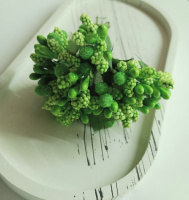 Тычинки «незабудка» на проволоке с листиками. Цена за букетик. Цвет - салатовый.