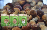 Чудо грибница готовый засеянный мицелий для выращивания грибов дома 6 видов