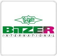 Олива синтетична BITZER BSE 32