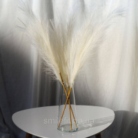 Пампас штучний 75см 5шт/уп. Колір: білий