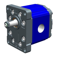 Насос шестеренний X3P8202AEEA (XV3P/54) VIVOIL