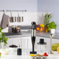 Блендер погружной Zelmer ZHB4752 1800 Вт серебристый