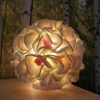 Світильник-нічник «Букет Магнолій»