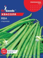 Квасоля спаржева Ява зелена 15г