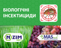 Инсектициды - Биоинсектициды ENZIM Agro