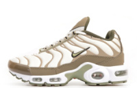 Жіночі кросівки Nike Air Max TN Plus (36-40)