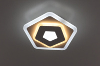 Светильник потолочный LED 2261/250-wh Белый 6х24х24 см.