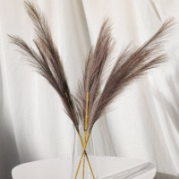 Пампас штучний 75см 5шт/уп. Колір: какао