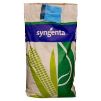 Семена кукурузы Сингента (Syngenta) Орфеус
