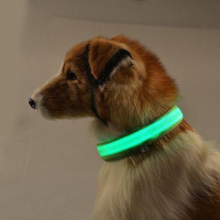 Ошейник LED светящийся узкий для небольших собак и кошек 0.5 м