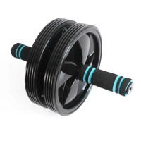 Ролик для пресса U-Powex Ab wheel with mat d18.5cm Black (UP_1006_Ab/Wheel)