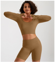 Комплект для фитнеса рашгард и велосипедки 8833 S коричневый