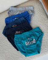 Дитячі труси для хлопчика Pinolo 2-3, 4-5, 5-6, 6-7 років 5 шт.