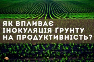 Як впливає інокуляція ґрунту на продуктивність?