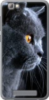 Чохол на телефон ZTE (Всі моделі) Силіконовий Глянсовий Гарний кіт