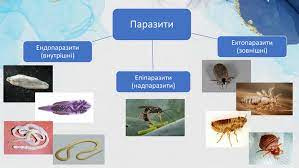 Паразити. Гості без запрошення.