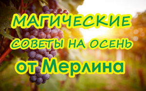 МАГИЧЕСКИЕ СОВЕТЫ НА ОСЕНЬ ОТ МЕРЛИНА
