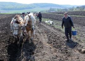 Хто господарюватиме на землі: фермер чи фермерське господарство? (моніторинг ЗМІ)