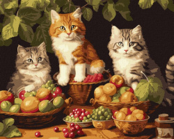 Картина за номерами - Котики і фрукти ©art_selena_ua Идейка 40х50 см (KHO6586)