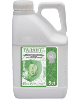 Талант Пар, 5 л