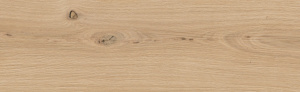 Sandwood Beige 18.5x59.8